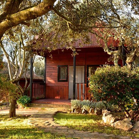 Camping Alquezar Exterior photo