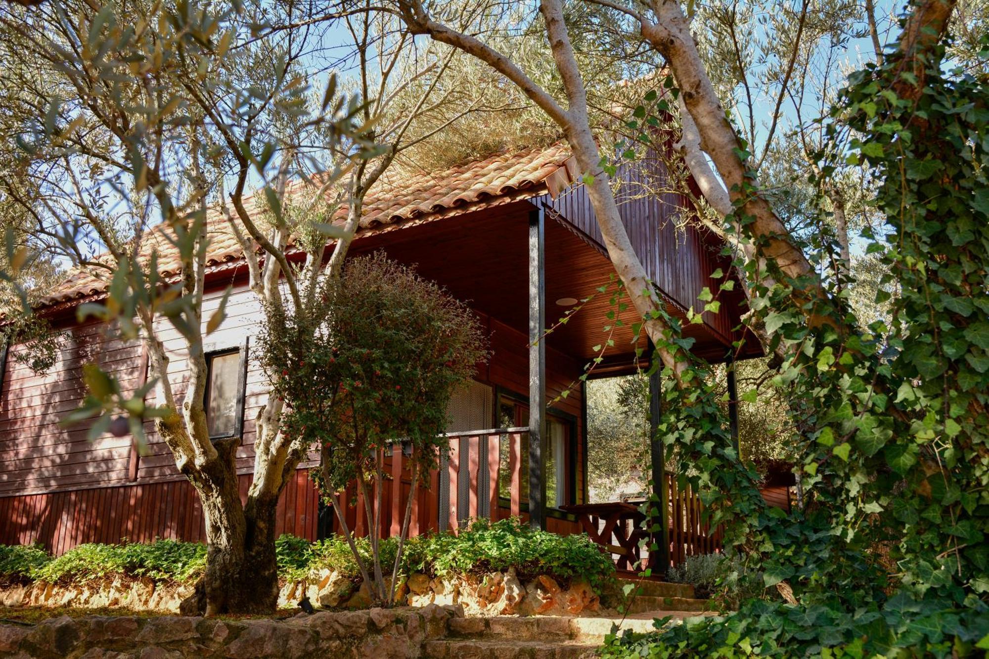 Camping Alquezar Exterior photo